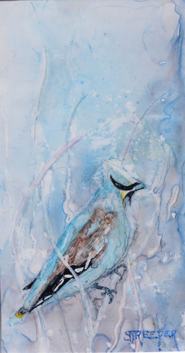 blue jay