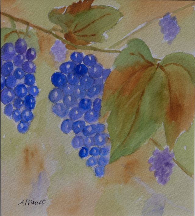 grapes